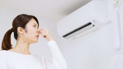 Avoid Health Problems Due to Mold