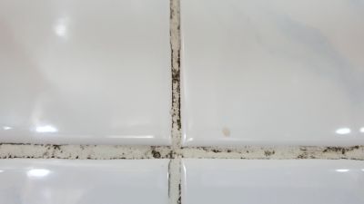Get a Professional Mold Test To Detect Any Mold That May Be Present in Your Basement!