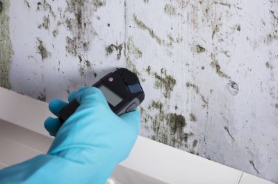 Basement Mold Testing Service is Available To Homes and Businesses Alike!