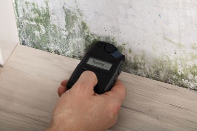 Basement Mold Testing - Basement Mold Testing Santa Barbara, California