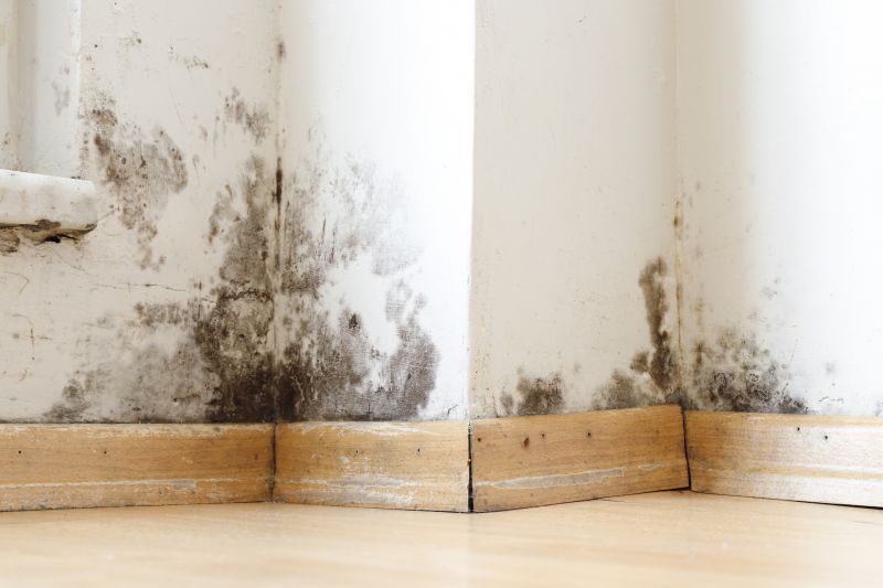 Mold Mitigation