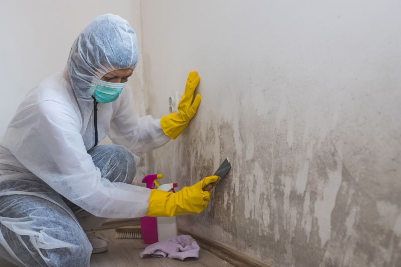 Air Duct Mold Removal in Fort Lauderdale, FL