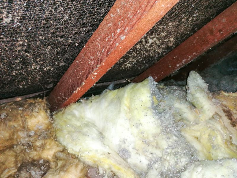 Asbestos Abatement in Somerset County, NJ