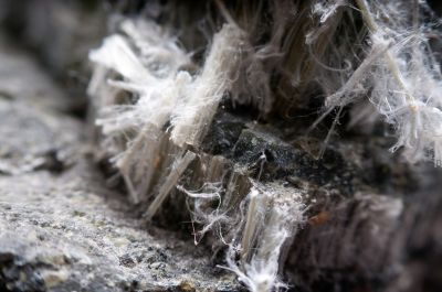 Asbestos Inspection Service in Bergen County, NJ