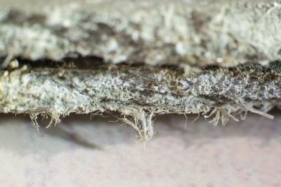 Asbestos Mitigation in Sussex County, NJ