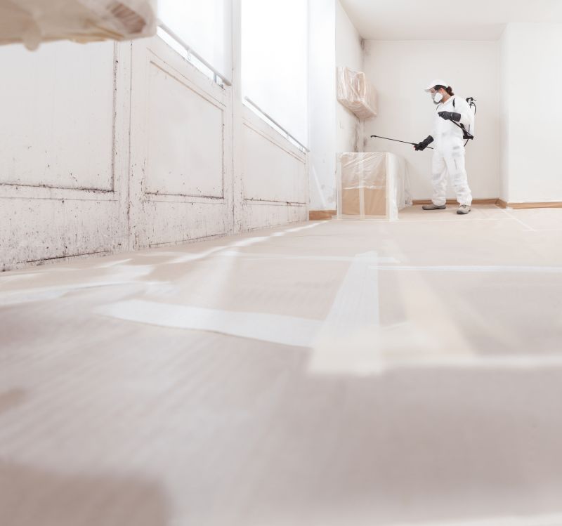 Attic Mold Remediation in Frisco, TX