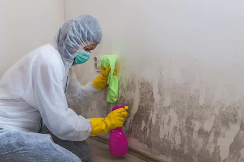 Attic Mold Removal in Bergen County, NJ