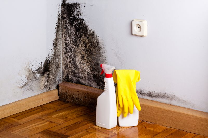 Basement Mold Remediation in Bergen County, NJ