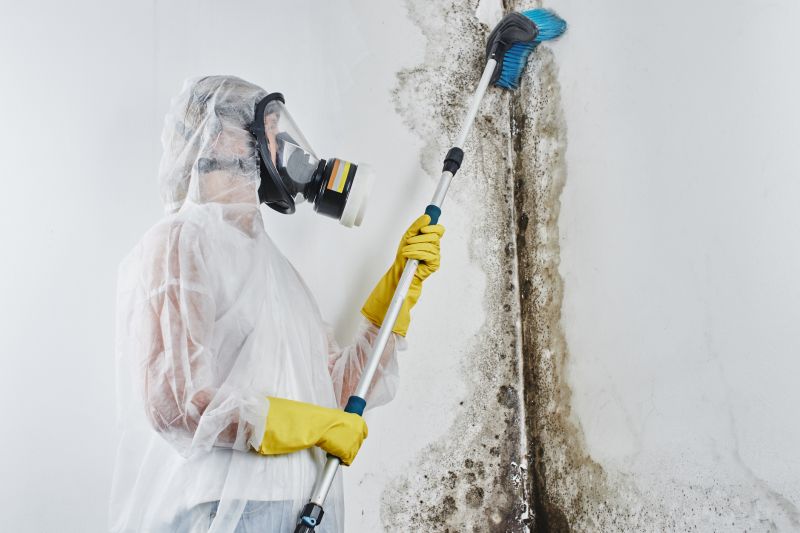 Basement Mold Removal in Bergen County, NJ