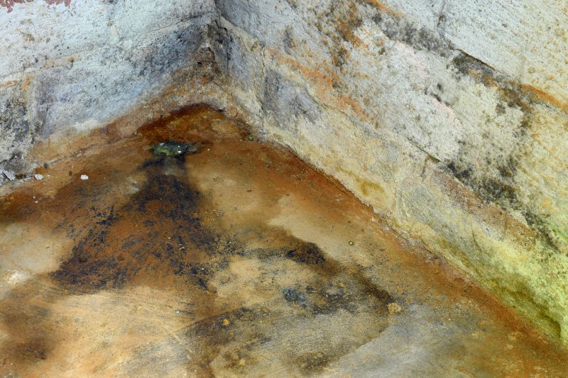 Basement Mold Removal in Dallas, TX