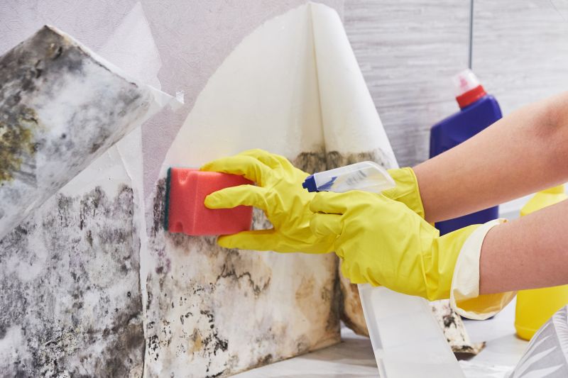Black Mold Remediation in Fort Worth, TX