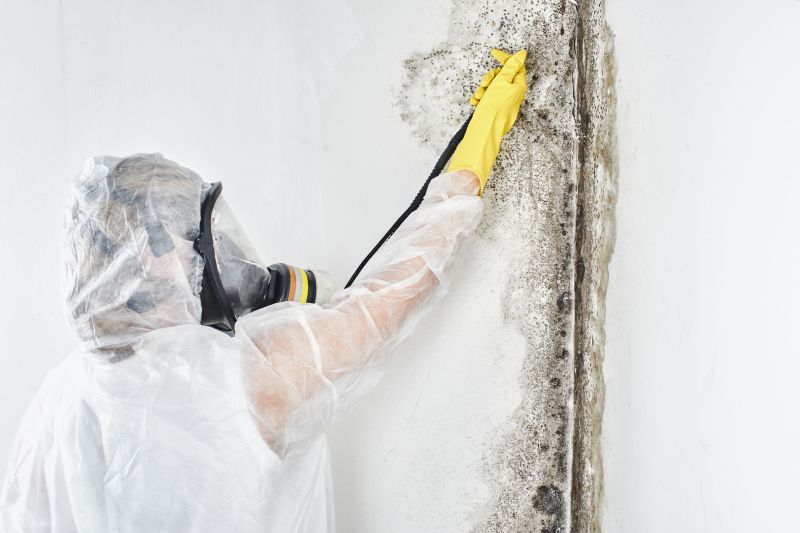 Black Mold Removal in Broward County, FL