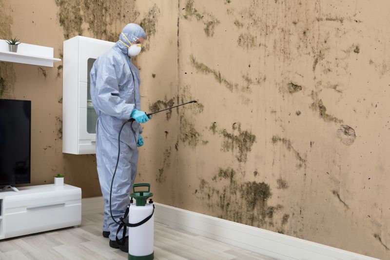 Black Mold Removal in West Palm Beach, FL
