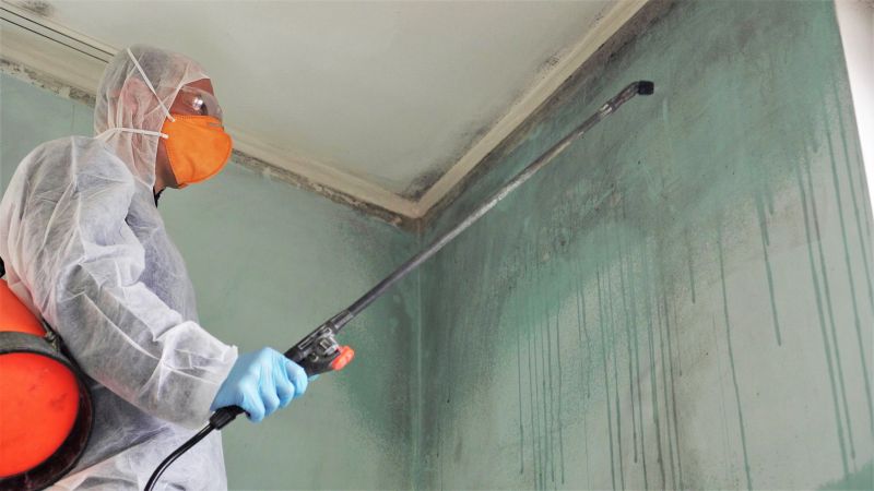 Ceiling Mold Removal in West Palm Beach, FL