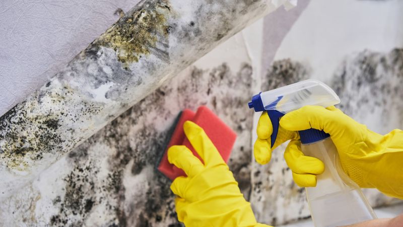 Mold Service detail
