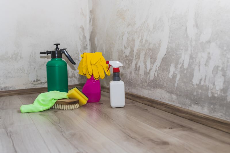 Garage Mold Remediation in Fort Lauderdale, FL