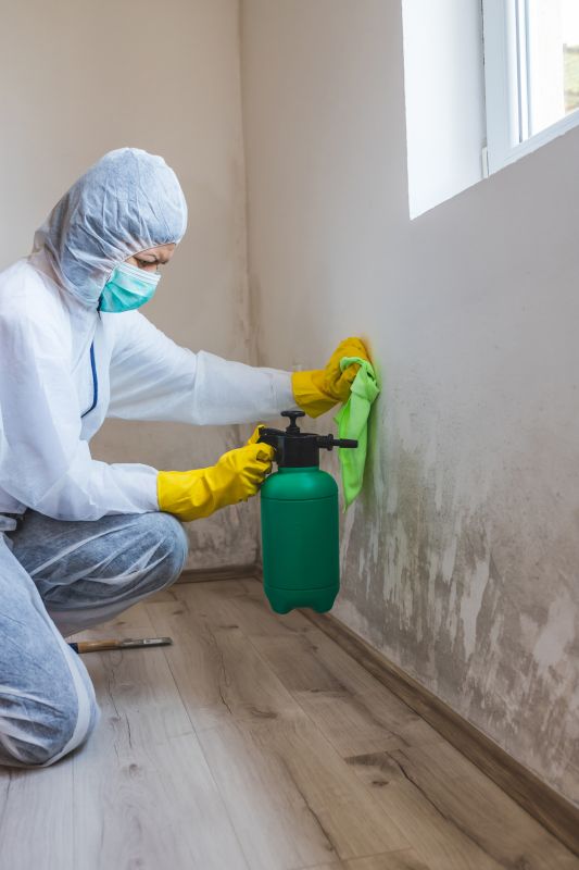 Mold Cleanup Service in Dallas, TX