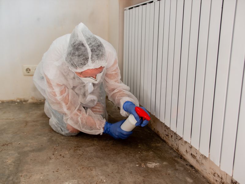 Mold Remediation Service