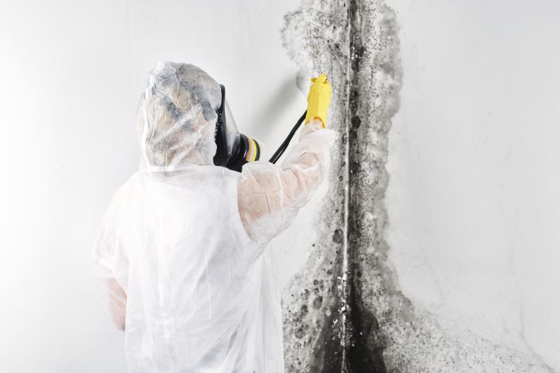 Mold Removal in Bergen County, NJ