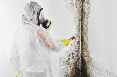 Mold Removal in Broward County, FL