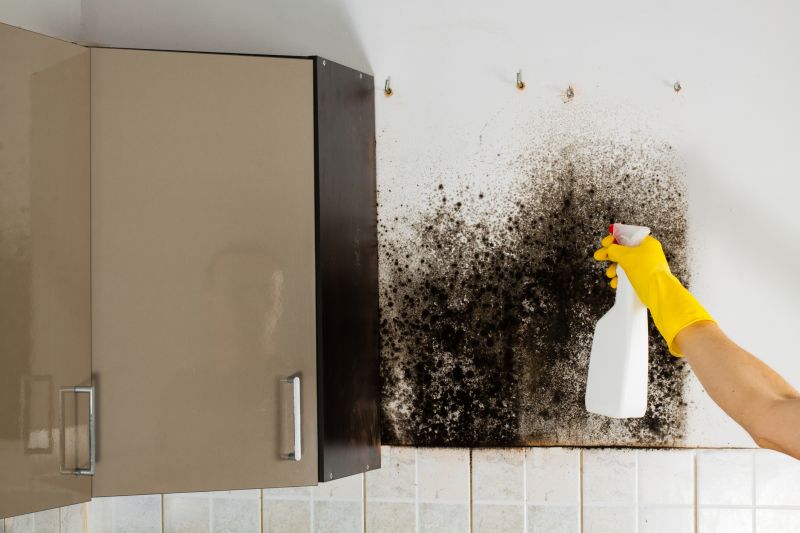 Mold Removal in Fort Lauderdale, FL