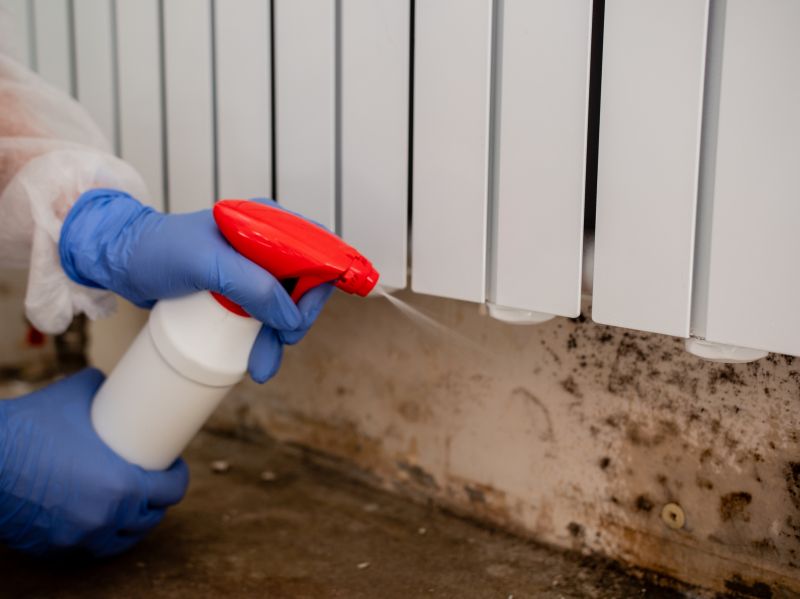 Mold Treatment Service in West Palm Beach, FL