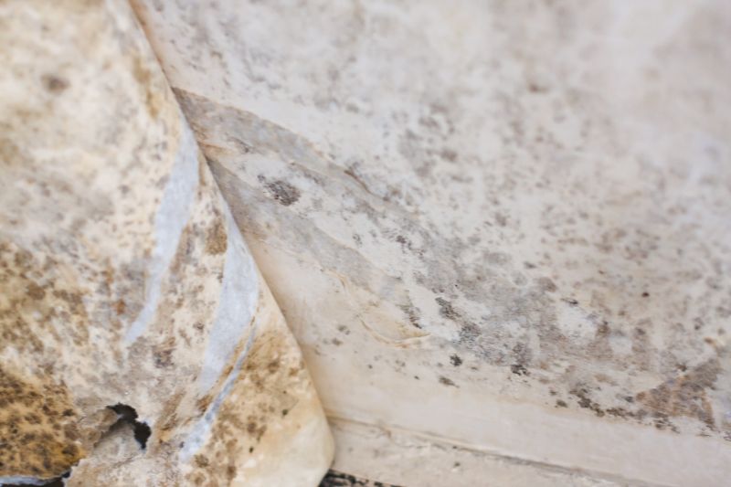 White Mold Mitigation in Dallas, TX