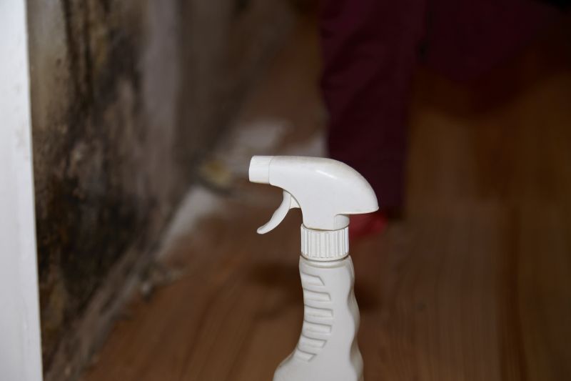 White Mold Mitigation in Essex County, NJ