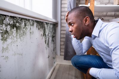Mold Control in Boynton Beach, FL