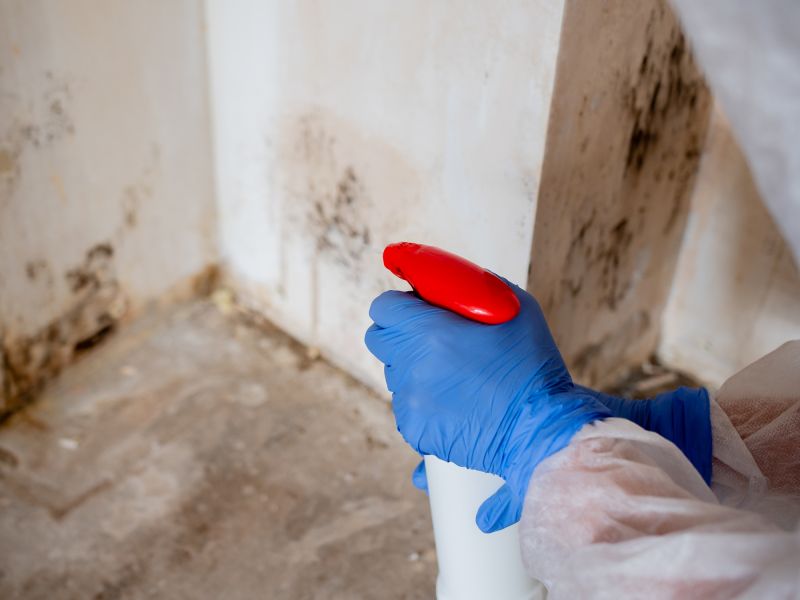 Mold Mitigation Service in Jupiter, FL