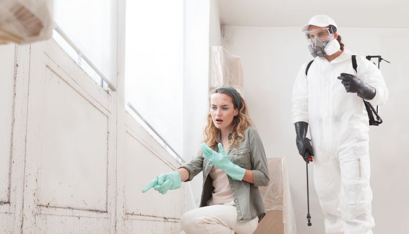 Mold Treatment Service in Boca Raton, FL