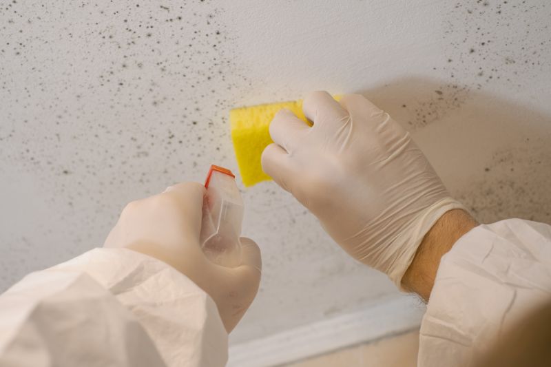 White Mold Mitigation in Broward County, FL