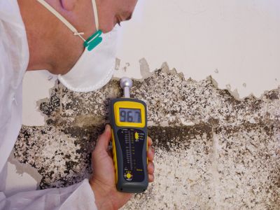 Get in Contact With a Professional Mold Inspector Today!