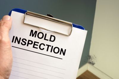 Get in Contact With a Professional Inspector Today!