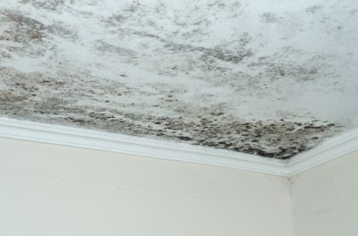 Prevention of Structural Damage