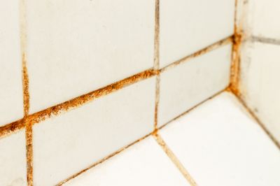 Get in Contact With a Professional Mold Inspector Today!