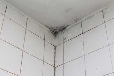 Showers Provide The Perfect Environment For Mold Growth!