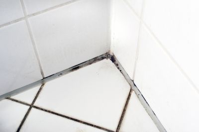 Test For Mold, as It Can Be Harmful To Your Health!