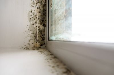 Preservation of Property Value
