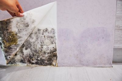 Maintain a Clean and Healthy Living Environment!