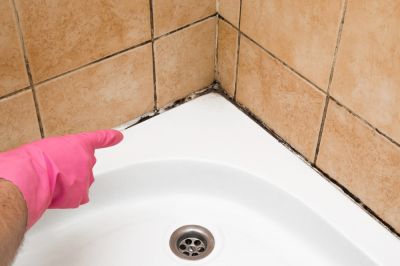Bathroom Mold Treatment - Bathroom Mold Treatment Louisville, Kentucky