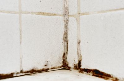 Getting Professional Mold Treatment Ensures That Your Family and Property Are Safe From Mold!