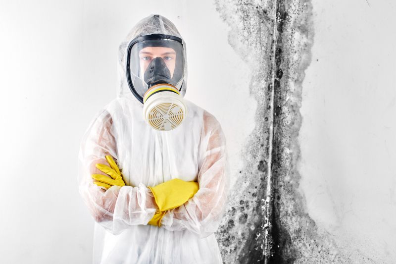 Commercial Mold Removal - Commercial Mold Removal Everett, Washington