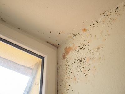 Preserving Property Value!