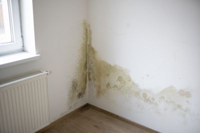 Preventing Structural Damage!